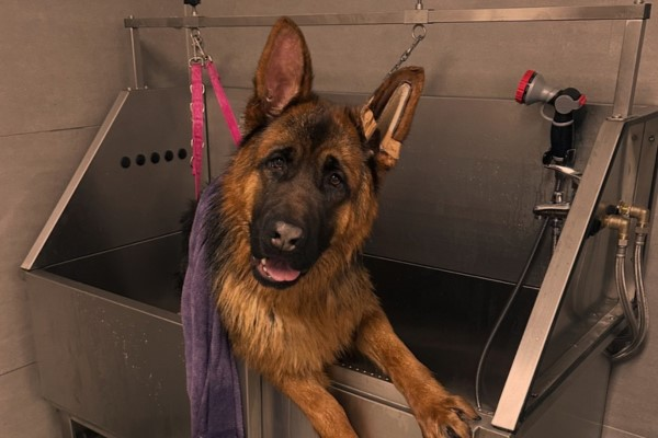 Bild 3 von Salon samt & seidig